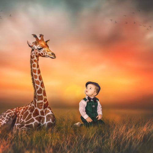 Giraffe-Boy-Little-Child-Field-Sunset-Glow-Zoo-Adventure-2-scaled.jpg